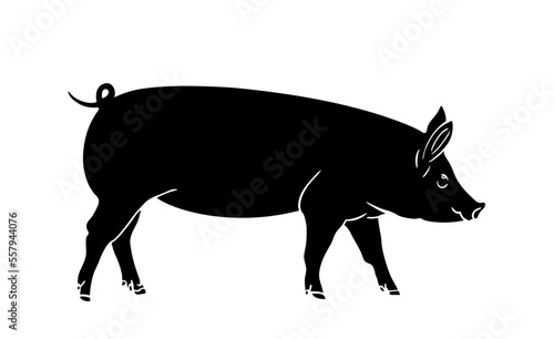 Vector pig silhouette. Pig silhouette icon isolated on white background.