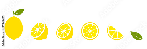 Lemon fruits slices set. Citrus collection. Vector illustration isolated on white.