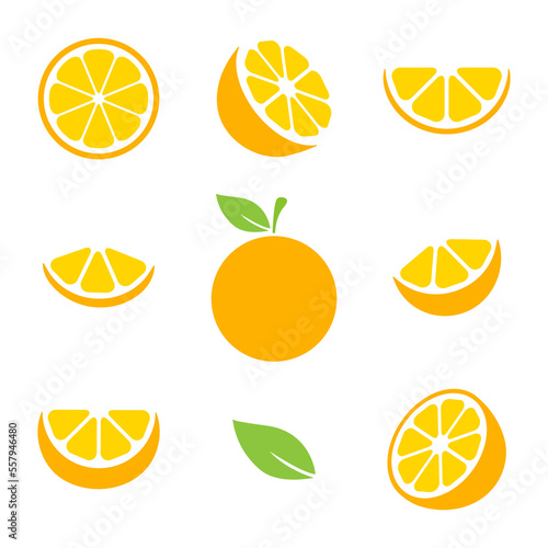 Orange fruits slices set. Tangerine collection. Vector illustration isolated on white.