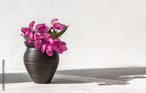 spring flowers in clay vase onlight background. copy space photo