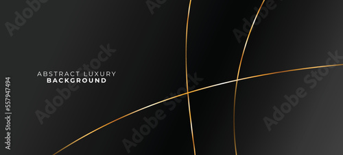 elegant black and golden lines beautiful background