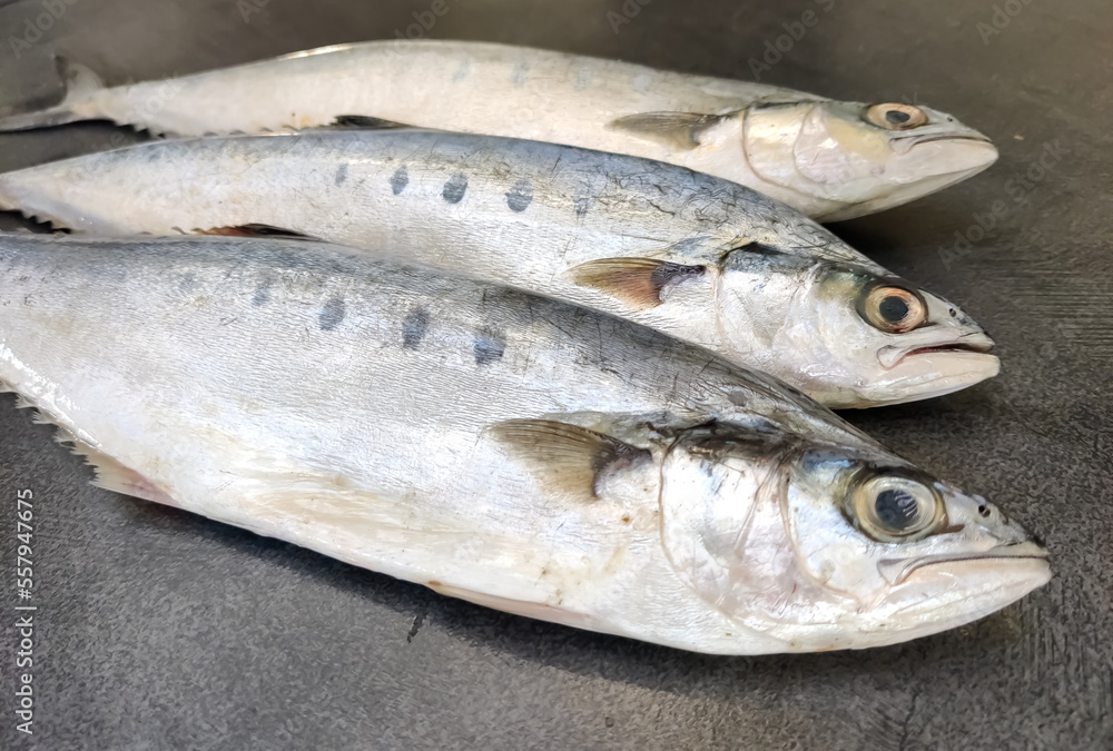 Selective focus of Doublespotted queenfishFish decorated on a wooden pad.