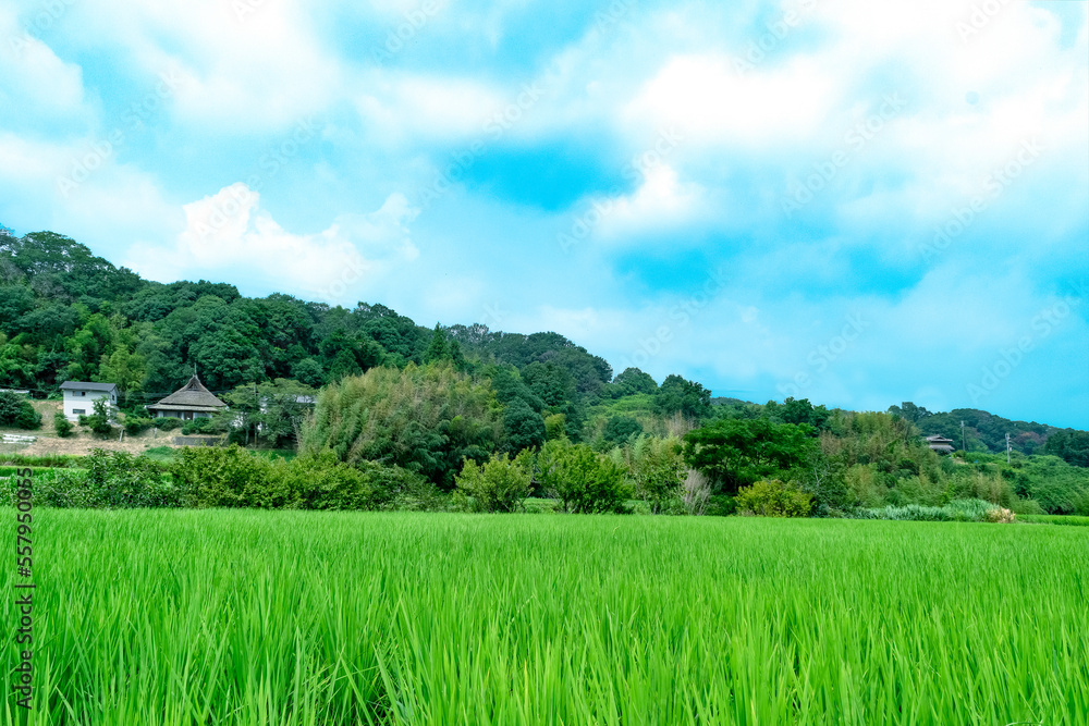 里山の風景