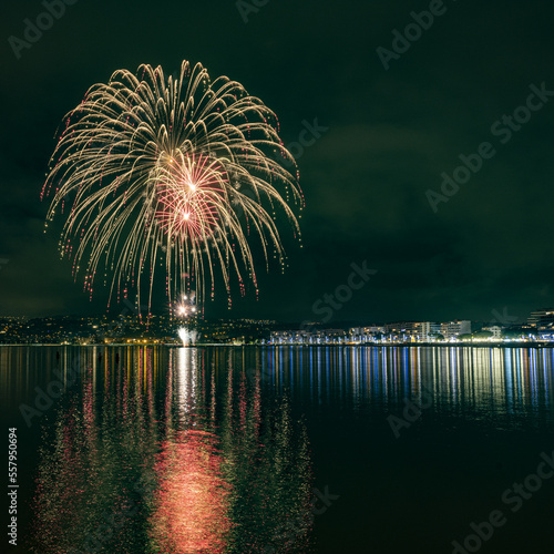 feu d'artifice du nouvel an 2023 dans la baie de Juan les Pins depuis le Cap d'Antibes avec de magnifiques couleurs et un spectacle magnifique pour bien commencer la nouvelle année