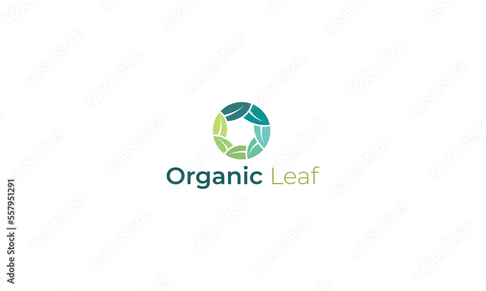 Letter O natural leafy ecology logo design Letter O natural leafy ecology logo design