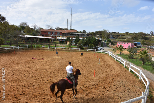 A man riding a horse with his back turned, is training with a horse at the horse farm.