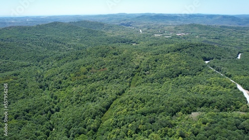 The Igneada Floodplain Forests National Park, aerial photography with drone, Kirklareli, Turkey