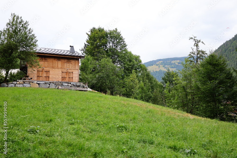 View on a mountain of the department of Haute-Savoie in the Auvergne-Rhône-Alpes region of Southeastern France