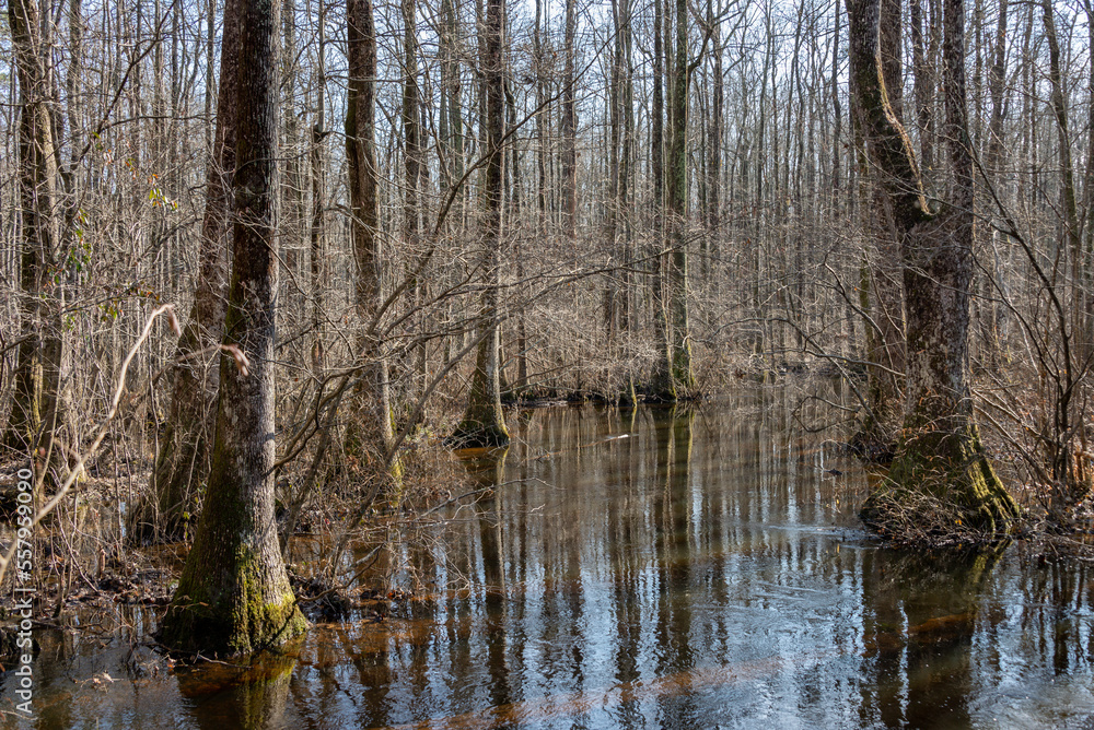 Widening of Lorance Creek