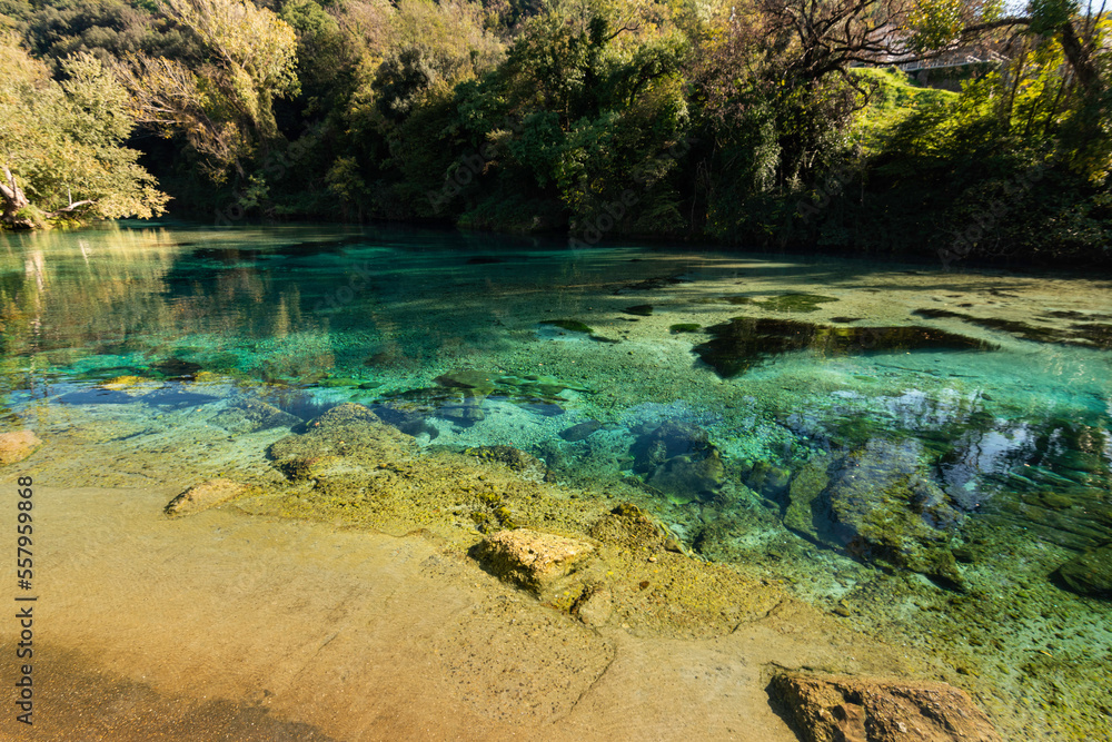 Along the Bank of the River