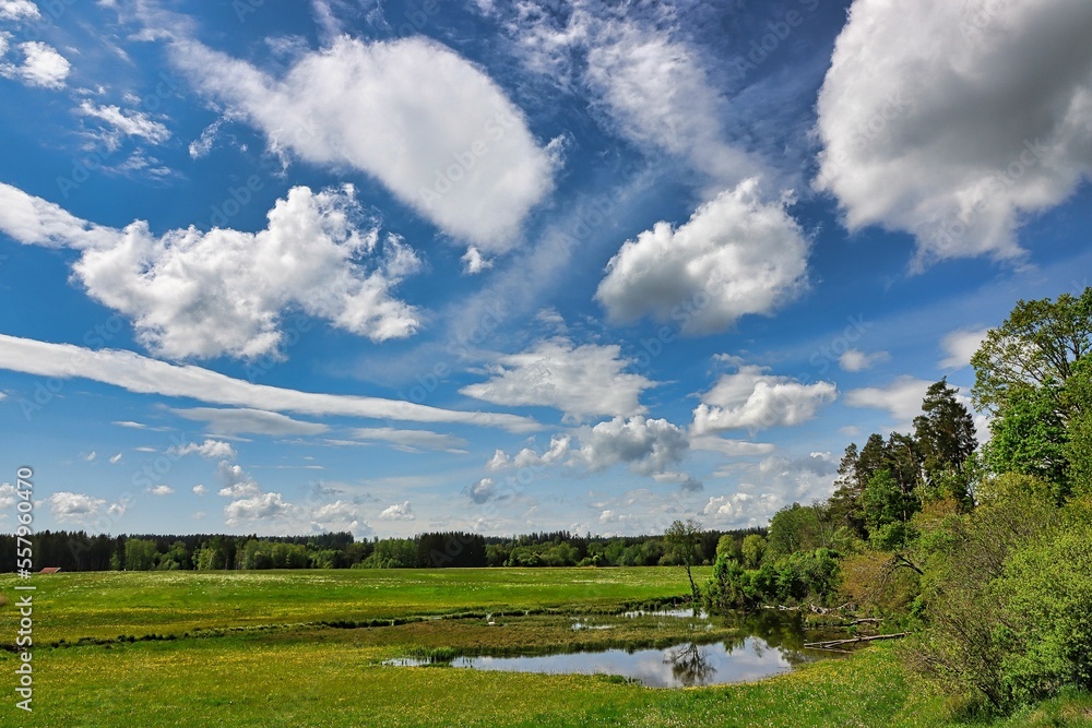 Landschaft südlich von Bad Wörishofen/Bayern Landschaft südlich von Bad Wörishofen/Bayern