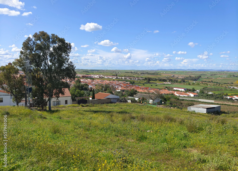 Spanish meadows