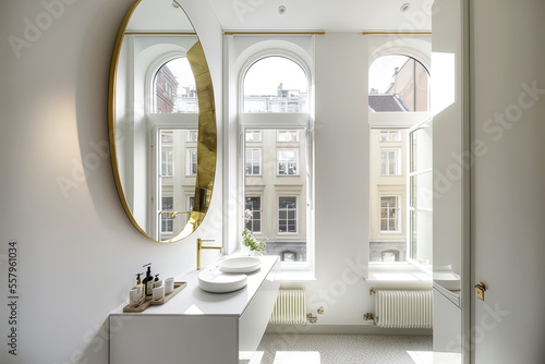 bathroom  inside of a refurbished and equipped designer apartment in an ancient Brussels home. Generative AI