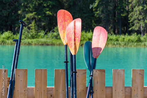 Kayak boat paddles learning against wooden fence along the Bow River in Banff National Park. Park recreation and tourism