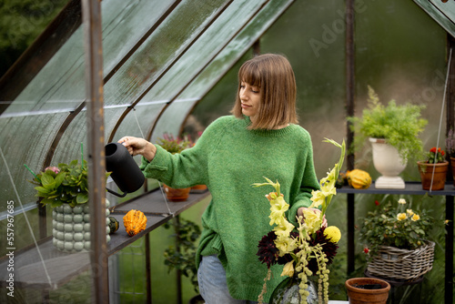 Portrait of young woman taking care of flowers  watering them in tiny orangery in garden. Hobby of growing plants and flowers concept