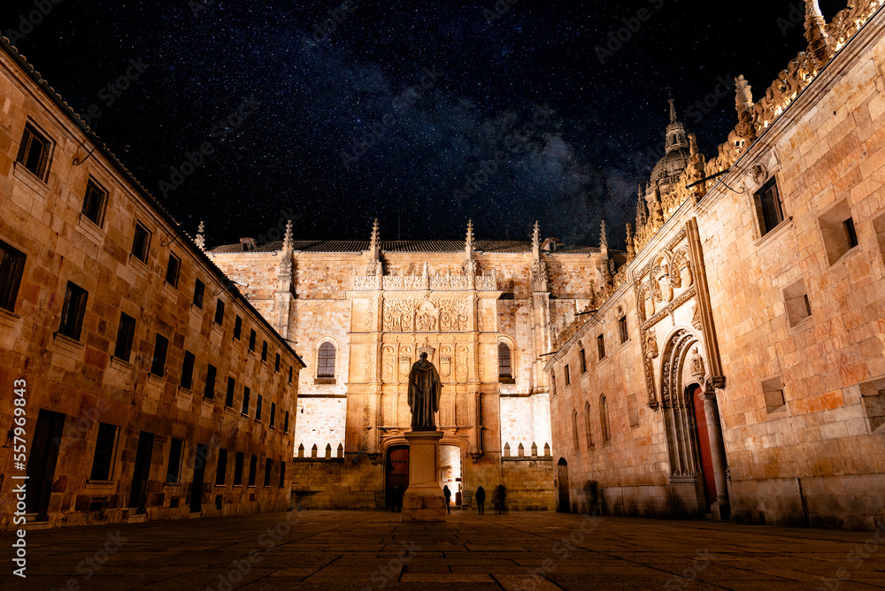 View of the Patio de Escuelas of the University of Salamanca