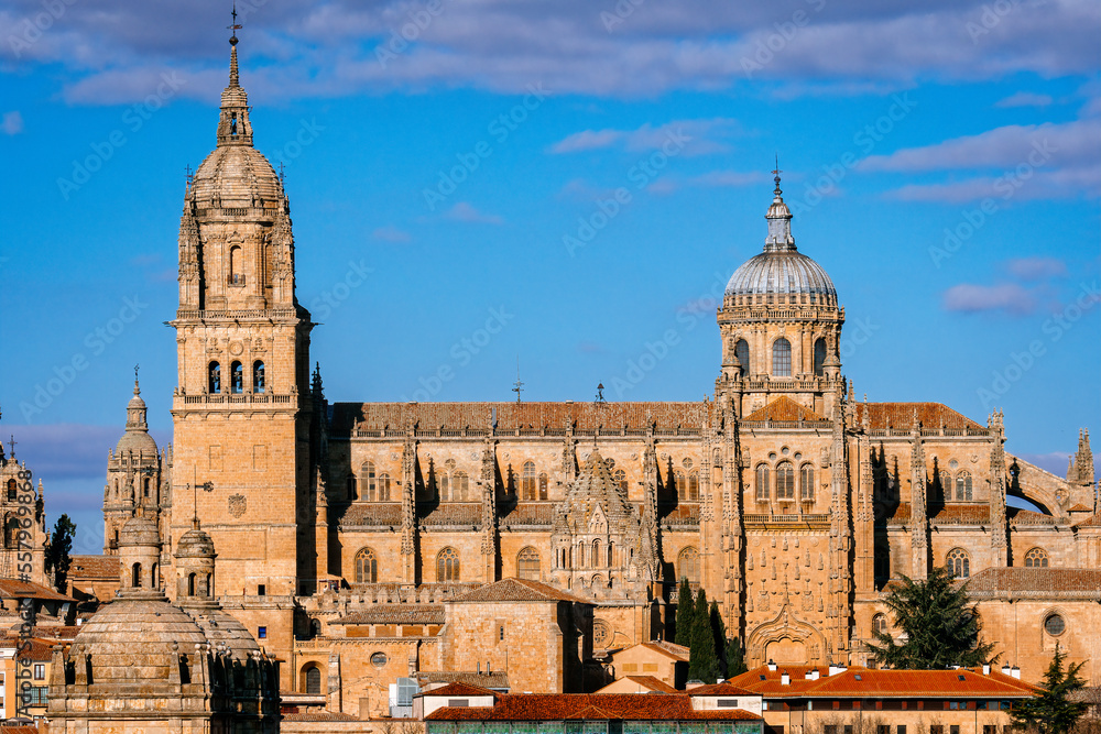 Scenic view of the Cathedral of Salamanca. Castilla Leon, Spain.