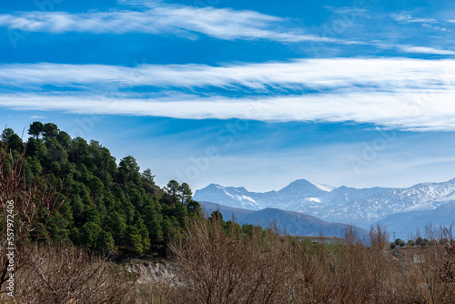 View of the snow capped mountains of Sierra Nevada (Spain) behind hills of pine trees on a sunny winter morning