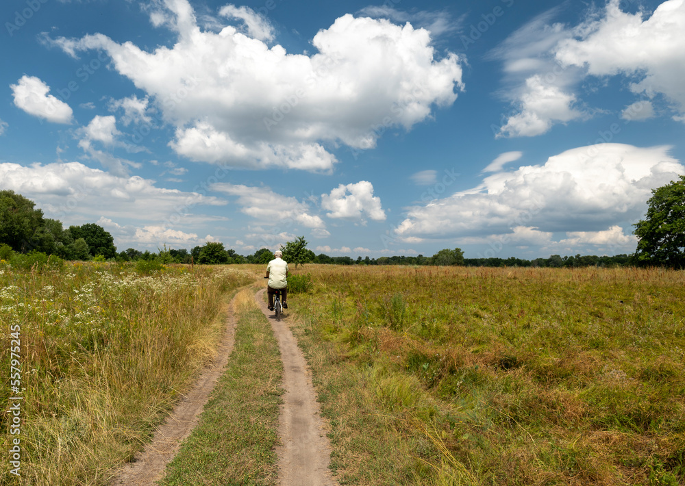 Rear view of a man on a bicycle rides on a road in a field. Summer landscape. Movement in nature