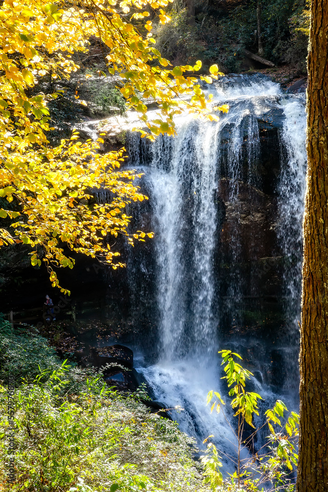 Fototapeta premium Waterfall with Fall Colors in Rural North Carolina