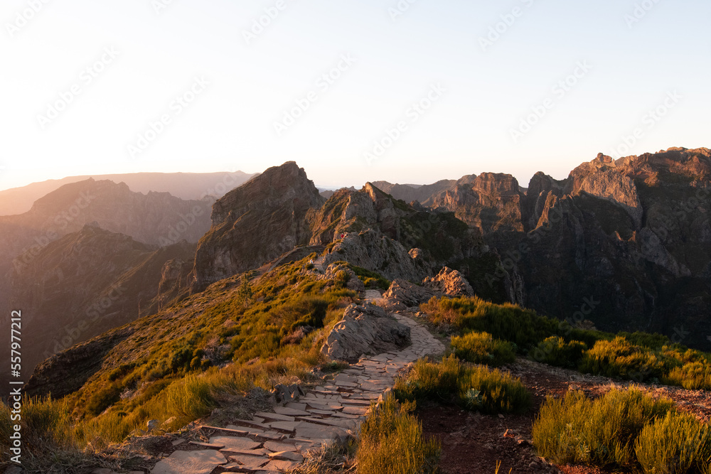 La nature au plus haut : le Pico do Arieiro