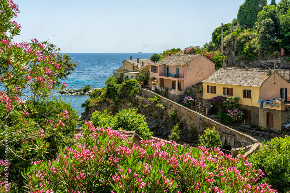 The picturesque village of Porticciolo in Cap Corse on a summer morning, France.