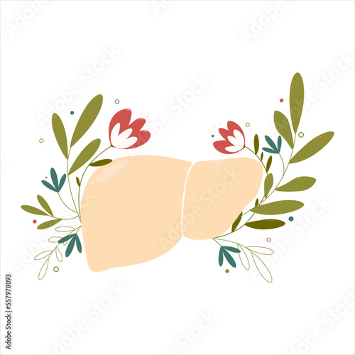 Liver care.Healthy liver.