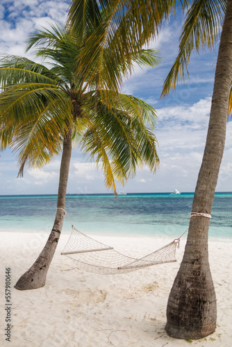 Beautiful tropical beach with white sand  turquoise ocean on background blue sky with clouds on sunny summer day. Palm tree leaned over water.