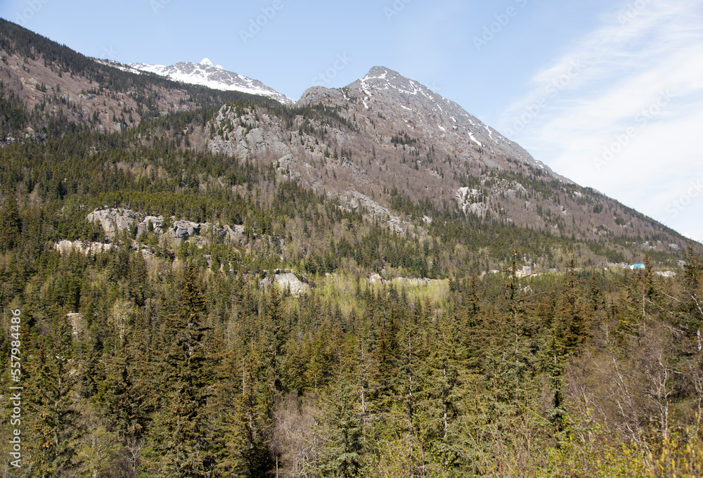 Alaska's Boundary Ranges White Pass Alaska's Boundary Ranges White Pass