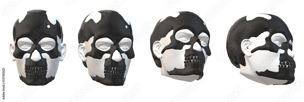 Fototapeta premium skull skeleton 