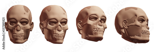 skull skeleton 