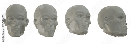 skull skeleton 