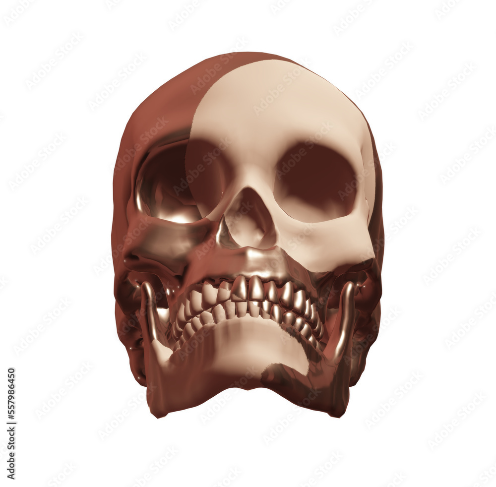Obraz premium skull skeleton