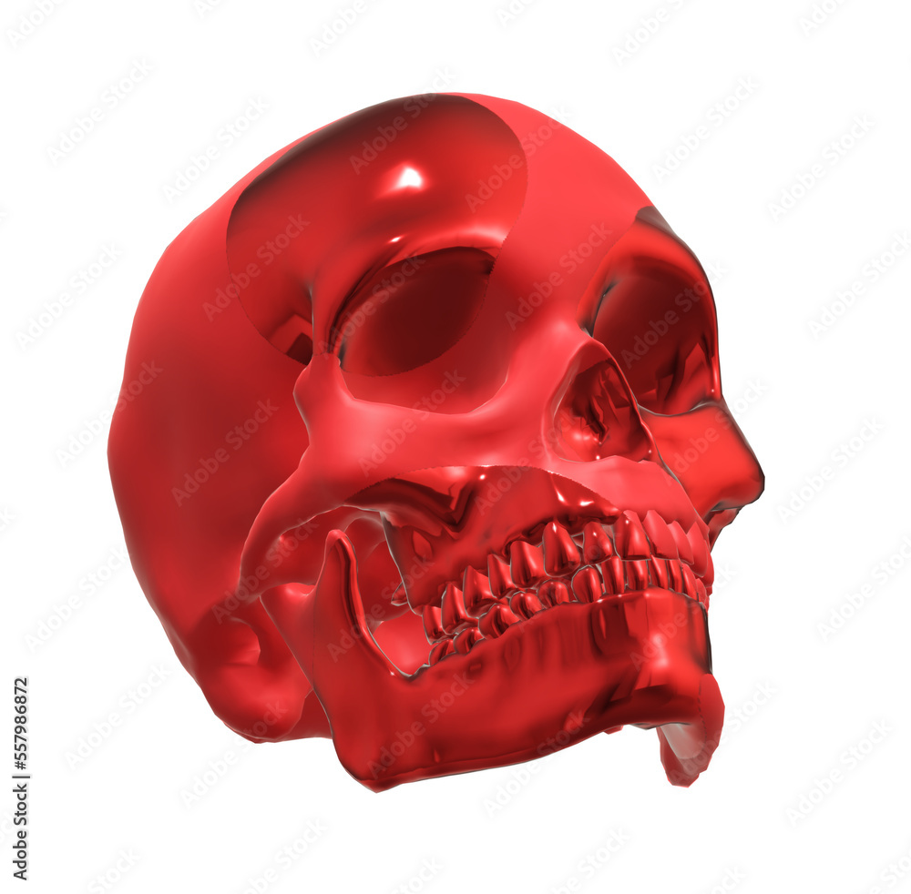 skull skeleton skull skeleton