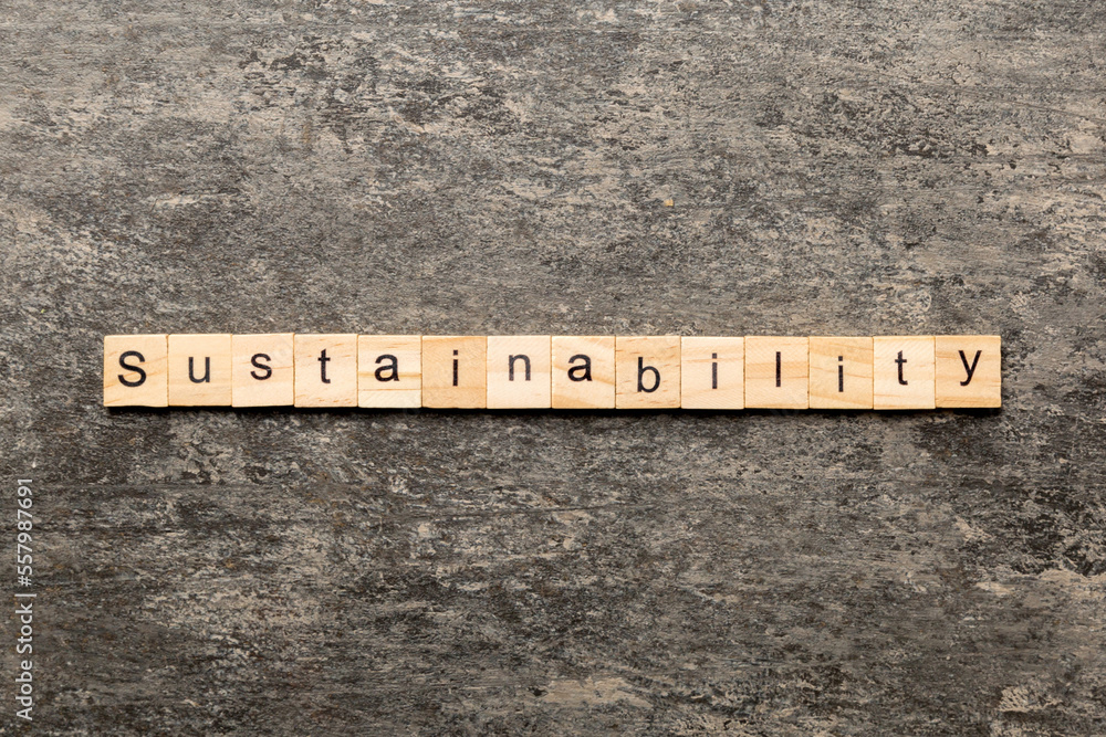 Sustainability word written on wood block. Sustainability text on table, concept Sustainability word written on wood block. Sustainability text on table, concept