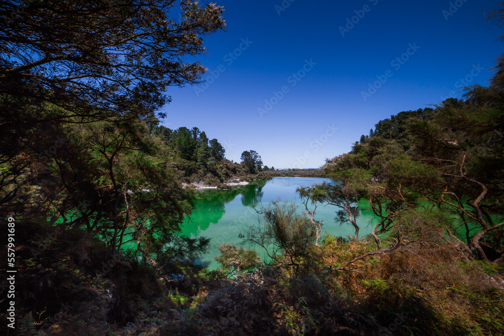 Rotorua strange green lake, weird and unique landscape, geothermal activity, volcanic landforms, hot pools and lakes North Island New Zealand