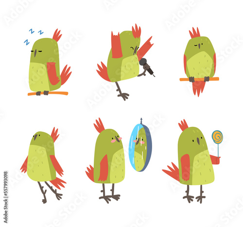 Set of funny parrot birds. Cute bright parrot pet character cartoon vector illustration