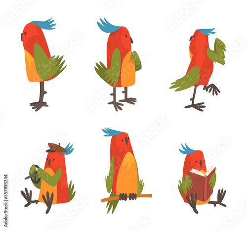 Set of parrot birds. Bright parrot pet character driving car and reading book cartoon vector illustration