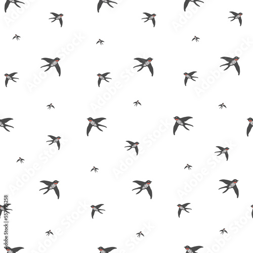 Flying swallows. Pattern seamless with vector illustrations and bird theme  © Hanna Symonovych