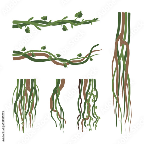 Set of lianas. Vine winding branches. Jungle tropical climbing plants cartoon vector illustration