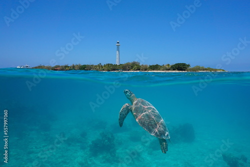 Island with a lighthouse and a sea turtle underwater, split level view over and under water surface,  south Pacific ocean, New Caledonia, Oceania photo