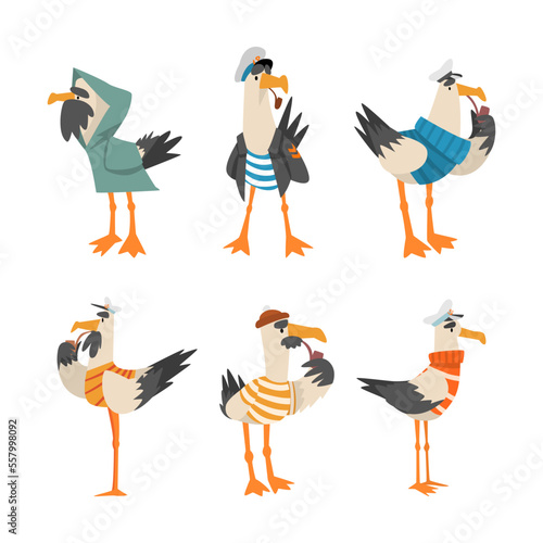 Funny seagull captains set. Cute bird sailors characters in cap and striped clothes smoking pipe cartoon vector illustration