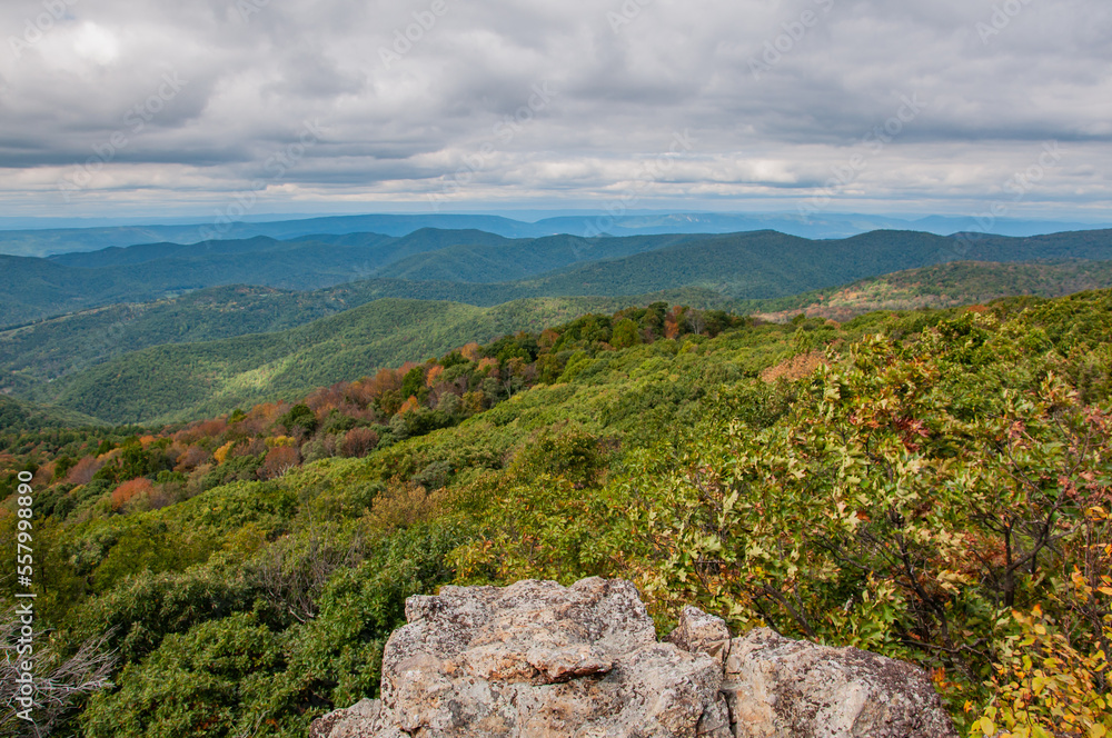Changing Seasons in Shenandoah National Park, Virginia USA, Virginia