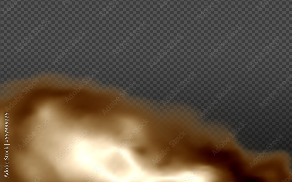 Realistic vector isolated on transparent background. Dust cloud with ...