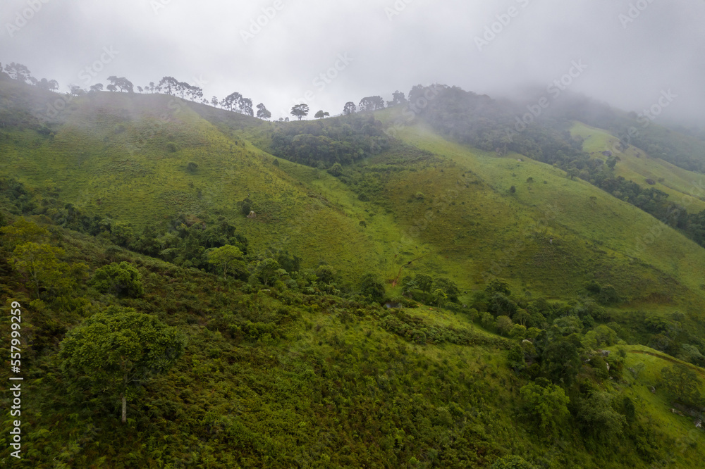Fototapeta premium Mountains with fog at night arrival. Fog taking over the vegetation.