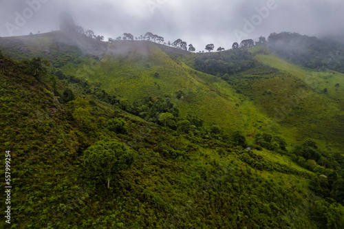 Mountains with fog at night arrival. Fog taking over the vegetation.