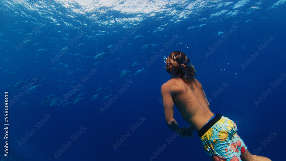 Man swims underwater and watches fish