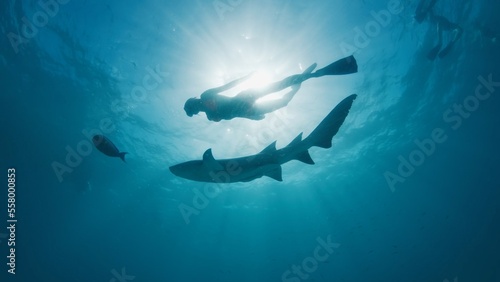 Canvastavla Woman dives and swims with the shark in a tropical sea in the Maldives