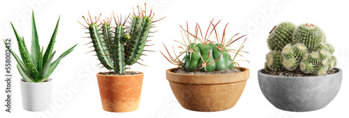 Set of cacti plants in pots isolated on transparent background. 3D render.