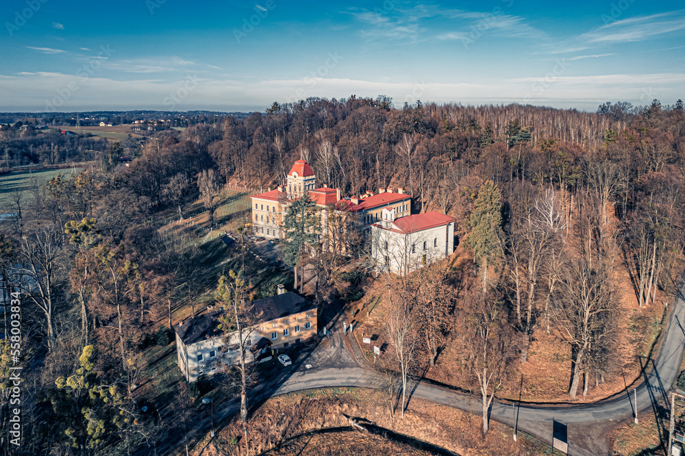 Park pałacowy w Kończycach Wielkich na Śląsku w Polsce zimą